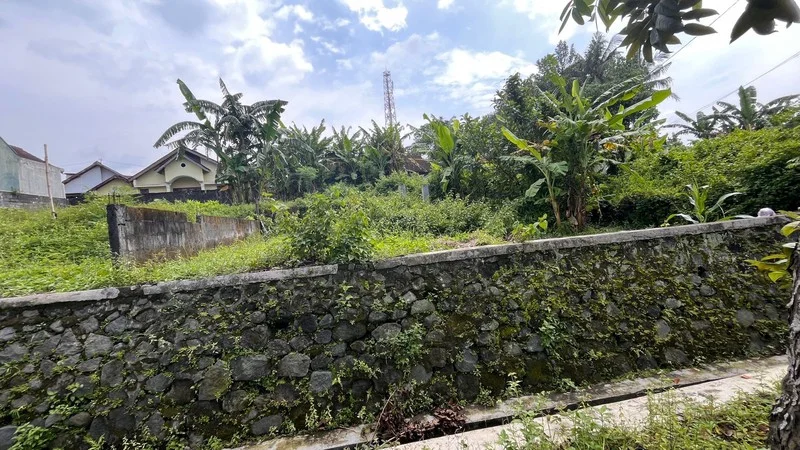 Tanah Strategis Jalan Magelang Tridadi Sleman foto 2